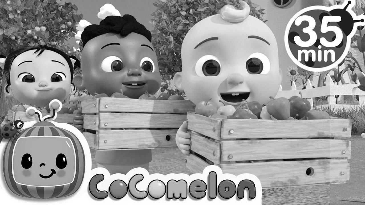 Be taught to Depend with Apples + Extra Nursery Rhymes & Kids Songs – CoComelon