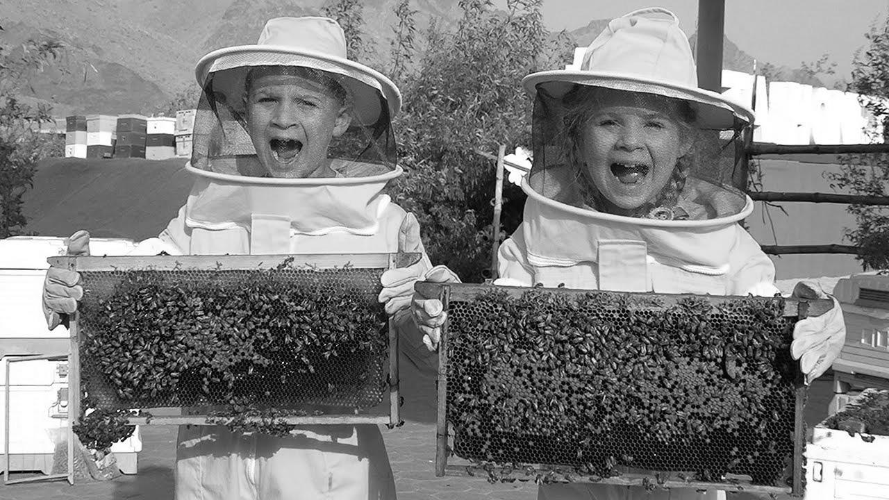 Diana and Roma {Learn about|Study|Find out about} Bees, HATTA Honey Bee {Garden|Backyard} Tour – {Fun|Enjoyable} {family|household} {trip|journey}